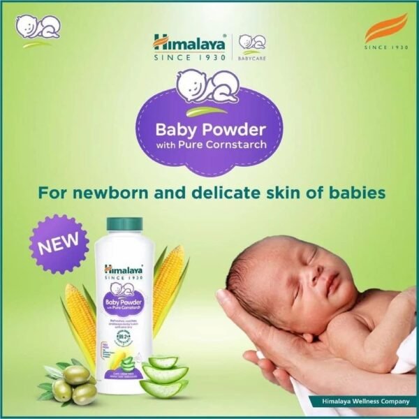 BABY  POWDER (  HIMALAYA ) 48 X ** 100 GM