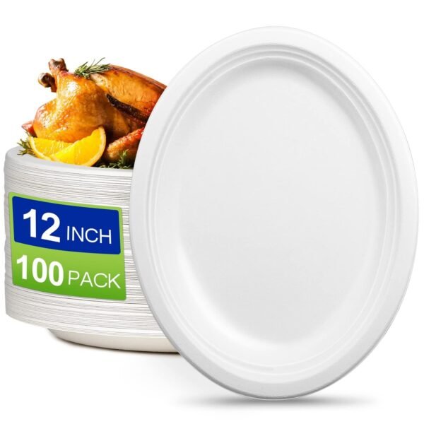 PAPER ** PLATE ** 1 X 12 X 100 PCS