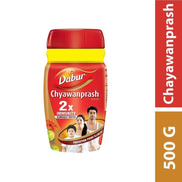 CHAVANPRASH ( DABUR ) 24 X 500 GM