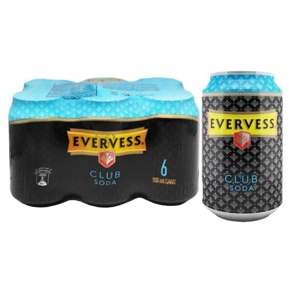 EVERVESS SODA 4 X 6 X 300 ML