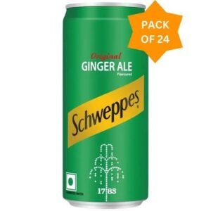 GINGER ALE  24 X 300 ML  CAN