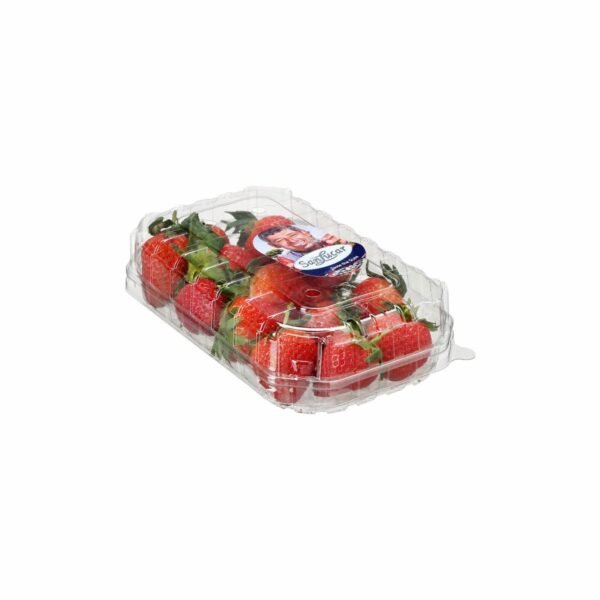 STRAWBERRY -- FRESH -- PP 12 X 250 GM