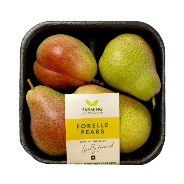 PEARS FORELLE S/A