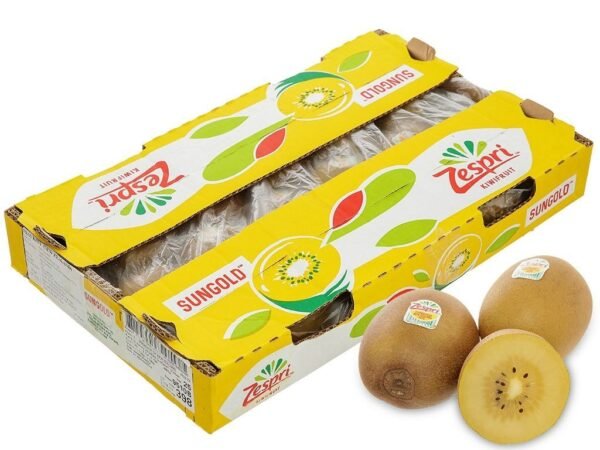 KIWI BIG CTN NEWZEALAND