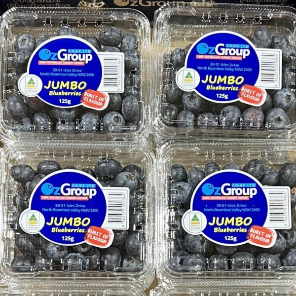 BLUEBERRIES 12 X 125G