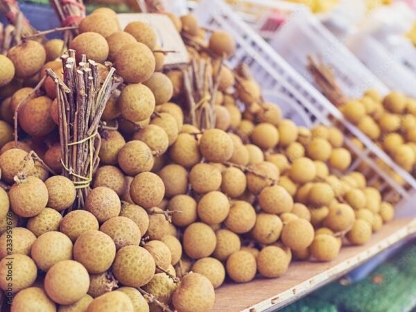 LITCHI THAILAND