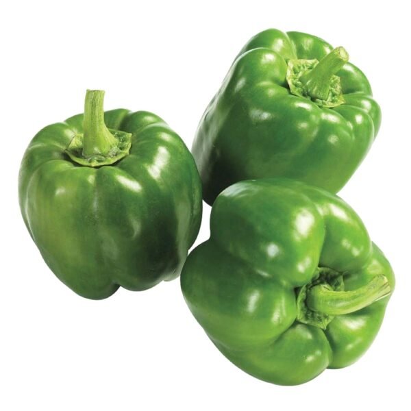CAPSICUM GREEN