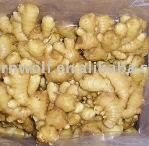 GINGER CHINA CTN