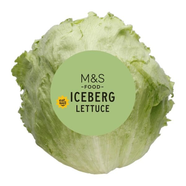 ICE BERG LETTUCE