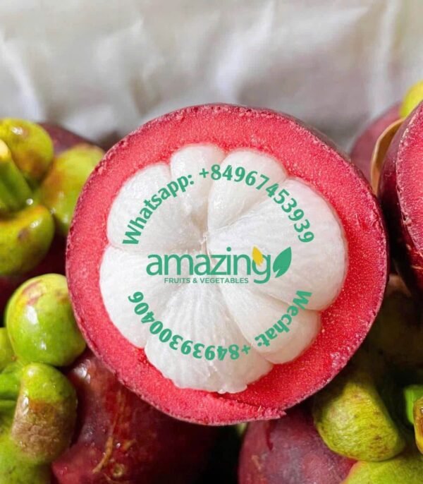 MANGOSTEEN