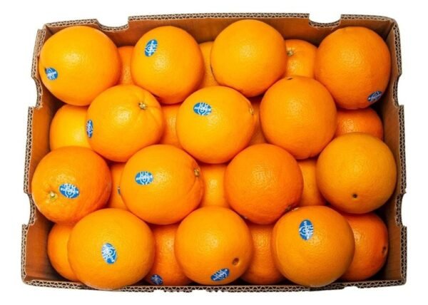 ORANGE NAVEL AFRICA 64