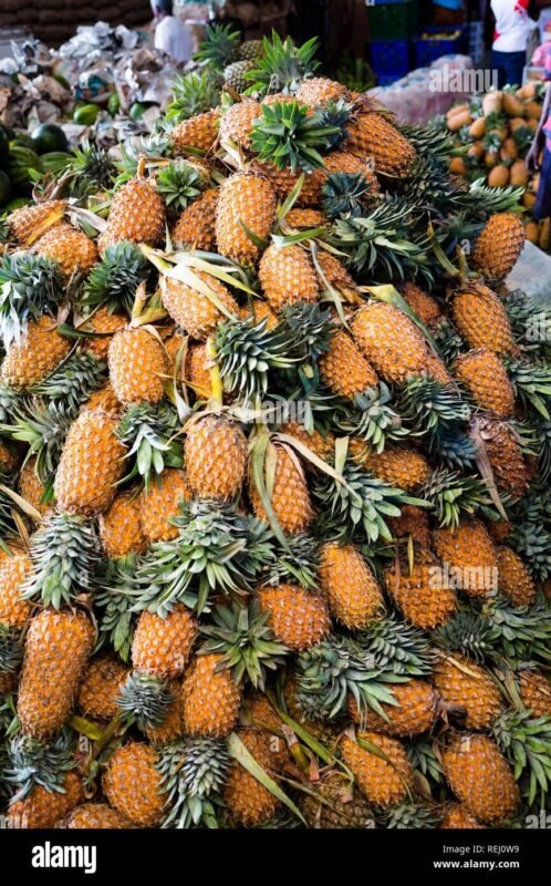 PINEAPPLE* IND (MATCO)