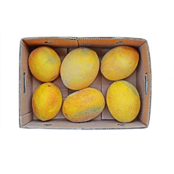 SWEET  MELON